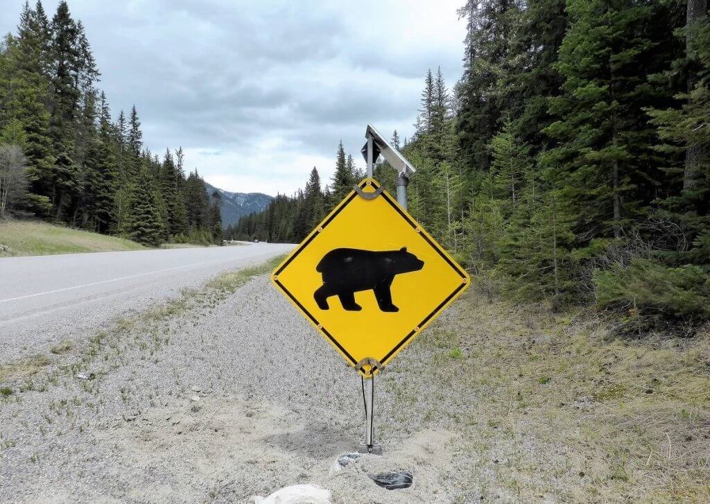warning bears sign