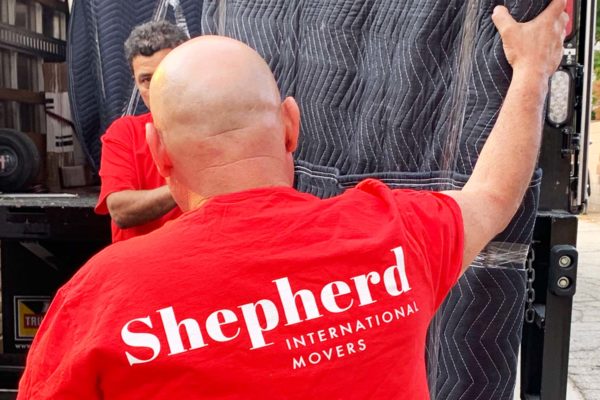 Shepherd international movers