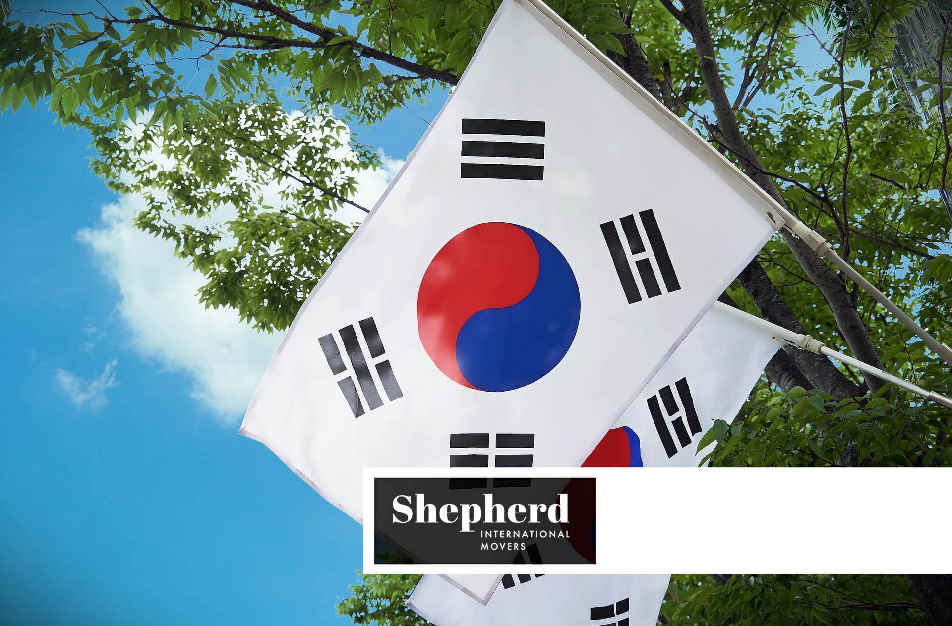 South Korea flag