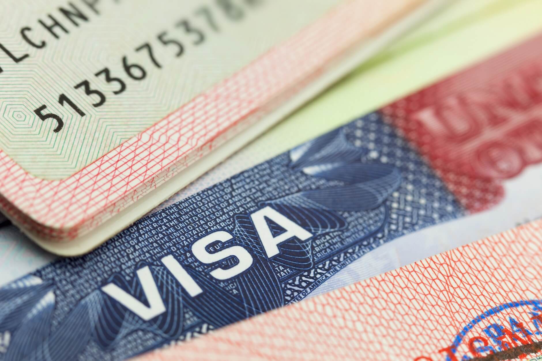 Visa close up