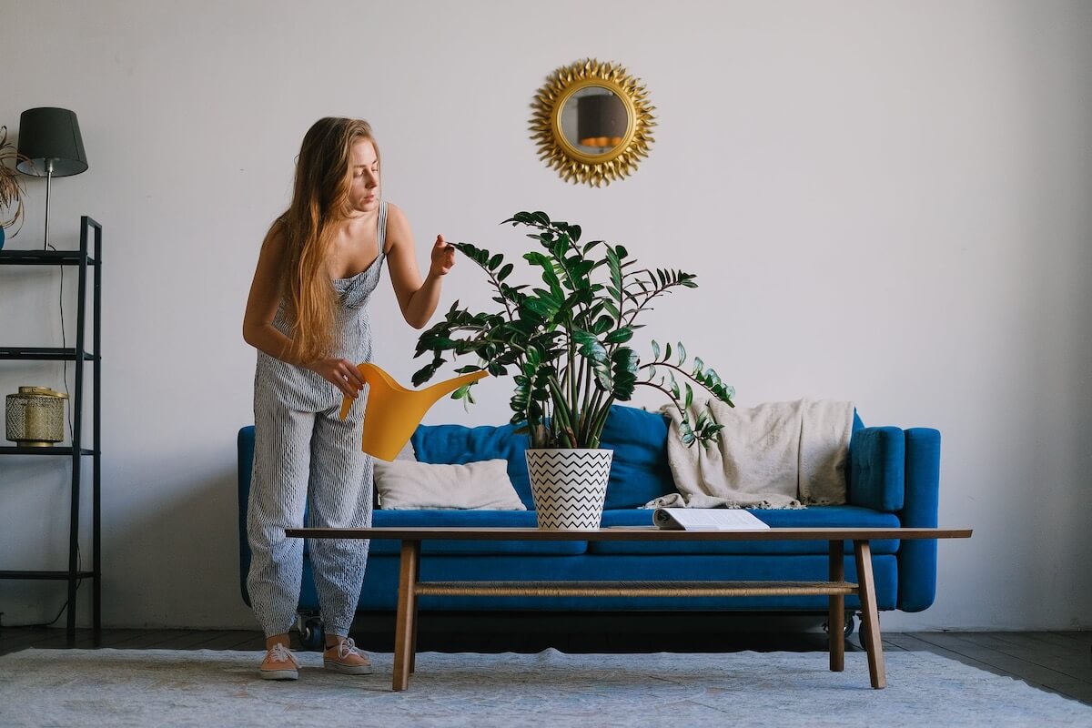 A girl watering a plant