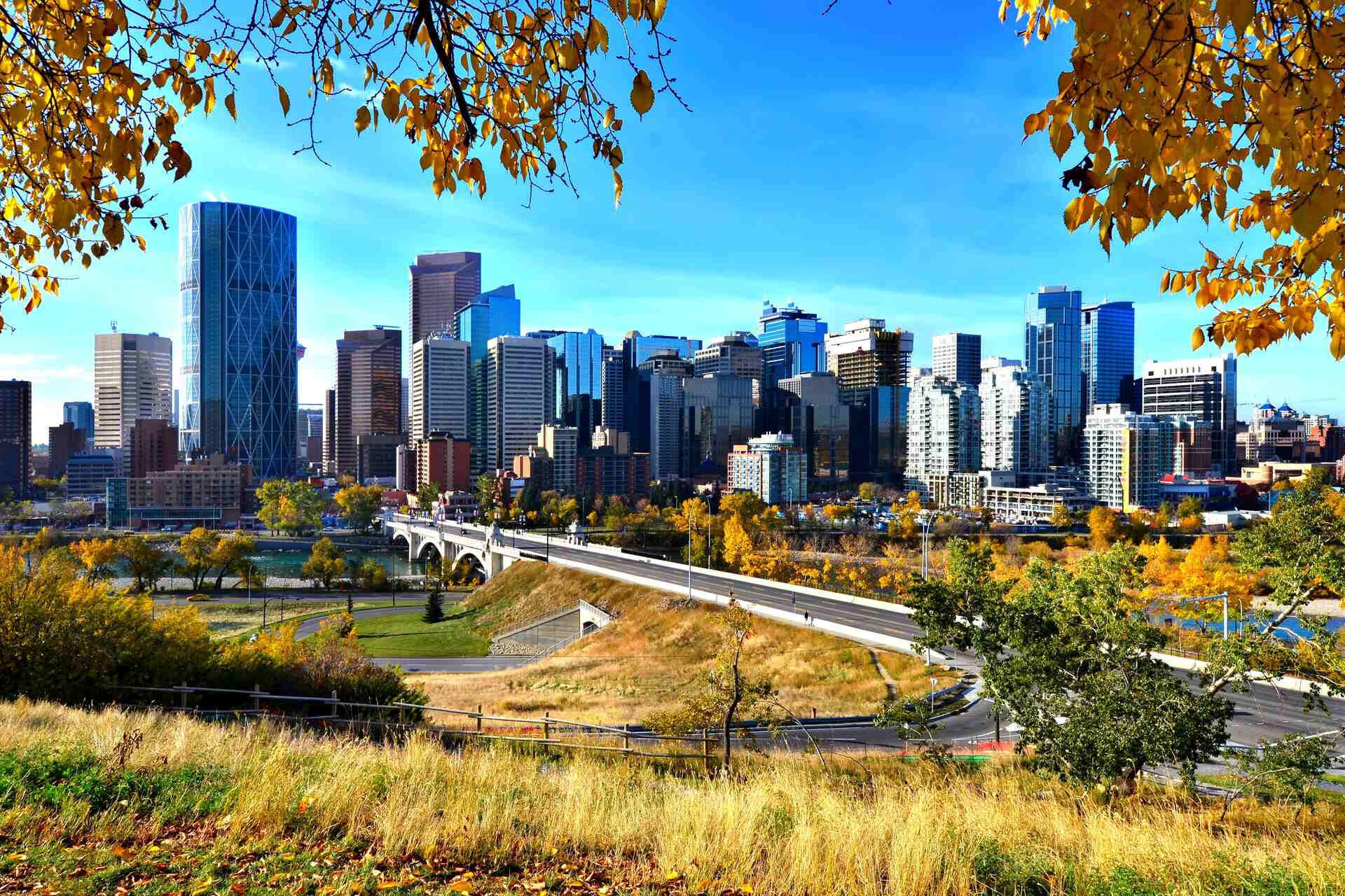 city of Calgary, Alberta during autumn
