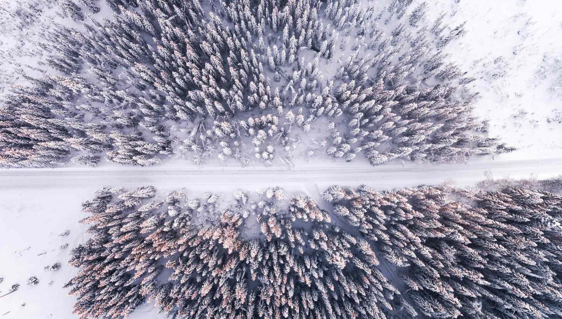 A drone image of a snow-covered road and trees