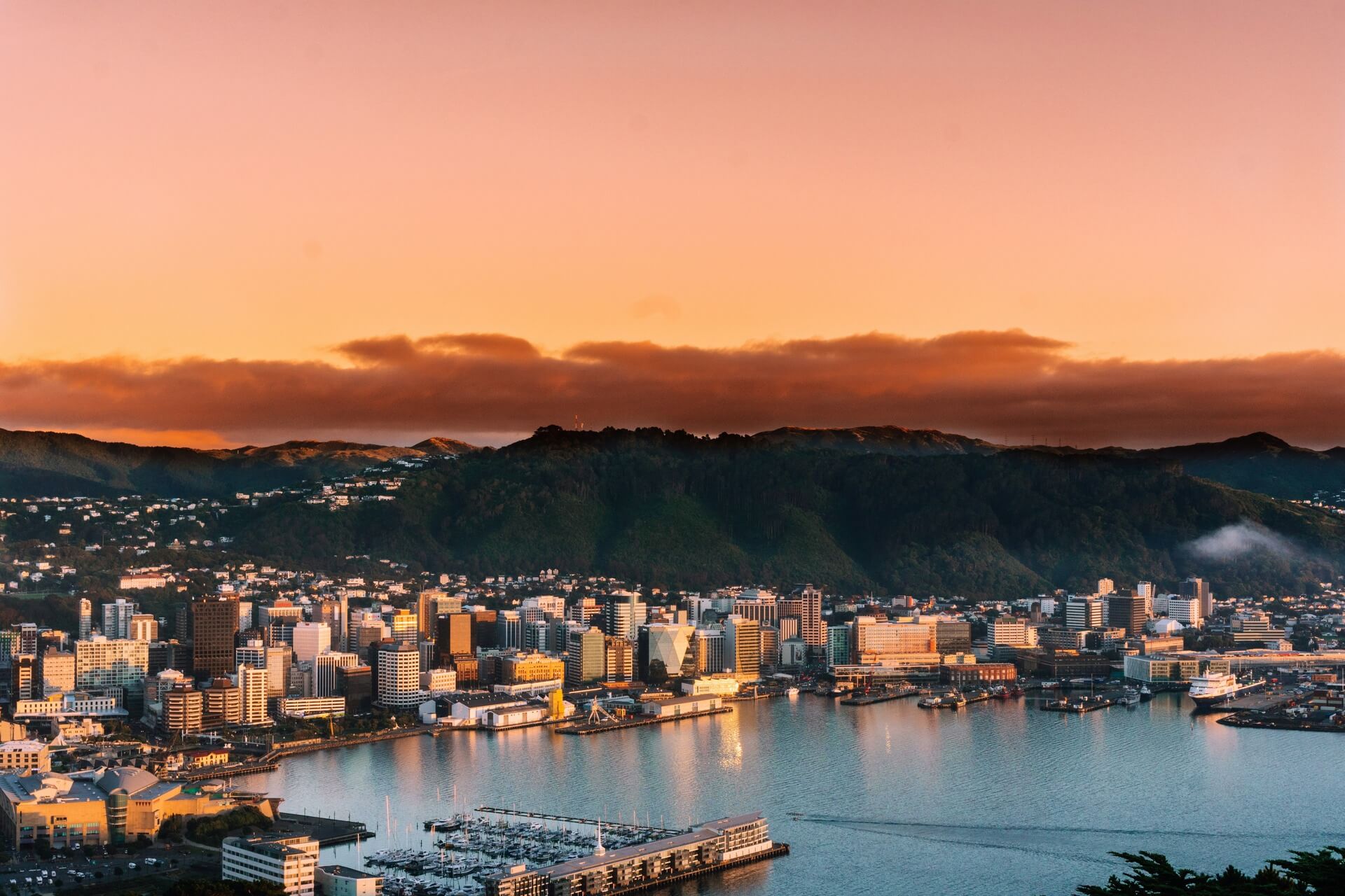 Aerial view of historic city, Wellington, during a warm sunset.